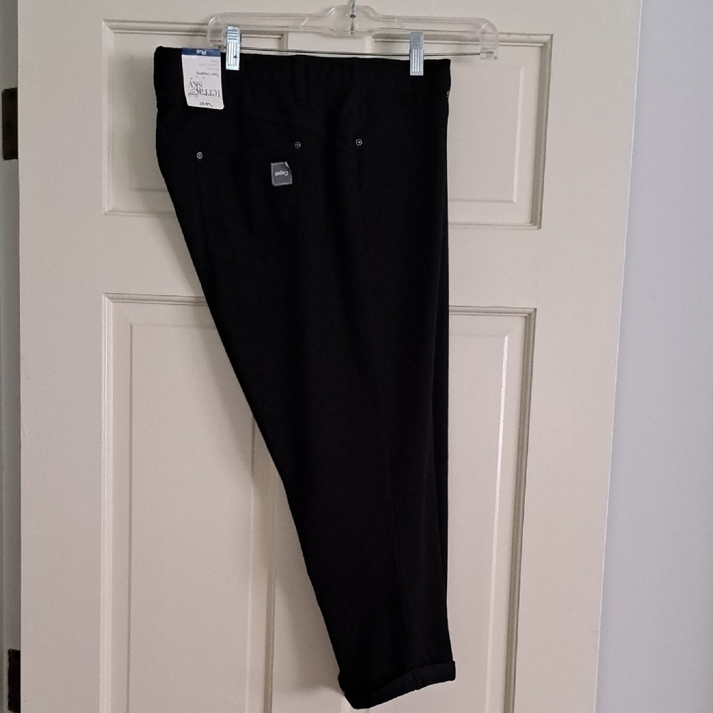 Terra & Sky Women's Black Cropped Pants